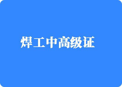 日本人操骚逼焊工中高级证