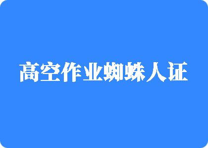 操逼小说视频高空作业蜘蛛人证